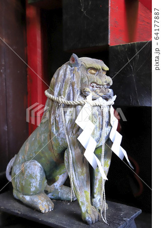 花園神社の本殿 狛犬 北茨城市 花園神社の本殿 狛犬 北茨城市 64177887