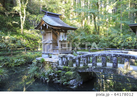 花園神社 境内の池 北茨城市 花園神社 境内の池 北茨城市 64178012