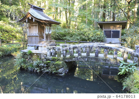 花園神社　境内の池　北茨城市　 64178013