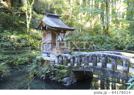 花園神社 境内の池 北茨城市 花園神社 境内の池 北茨城市 64178014