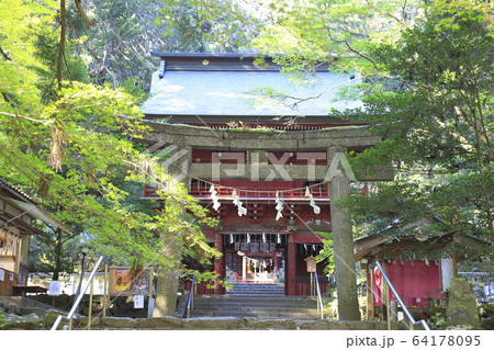 花園神社の楼門 茨城県北茨城市 花園神社の楼門 茨城県北茨城市 64178095