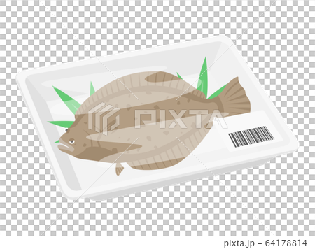 パックに入ったヒラメのイラスト 64178814