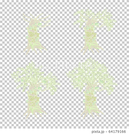 木 64179166