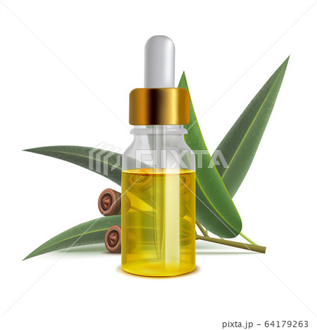 Eucalyptus Oil Bottle with Leaves in Realistic Style Eucalyptus Oil Bottle with Leaves in Realistic Style 64179263