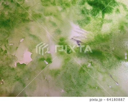 森の精霊のイラスト素材