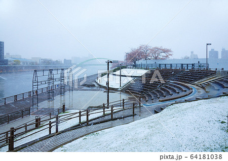満開の桜に雪 あらかわ遊園 アリスの広場 満開の桜に雪 あらかわ遊園 アリスの広場 64181038
