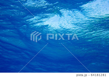 underwater scene with copy space underwater scene with copy space 64181281