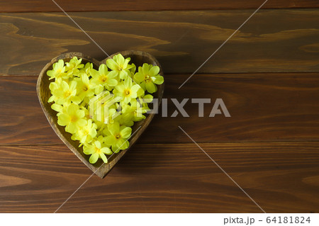 ハート型食器にいれたオウバイモドキ ハート型食器にいれたオウバイモドキ 64181824
