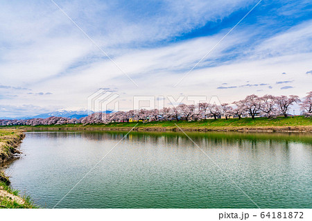 青空と一目千本桜　宮城県大河原町 64181872