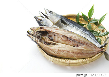 鯖の干物6 鯖の干物6 64183498
