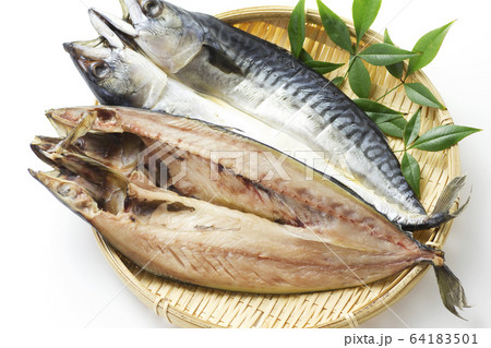 鯖の干物9 鯖の干物9 64183501