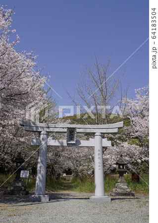大牟田白山神社 大牟田白山神社 64183504