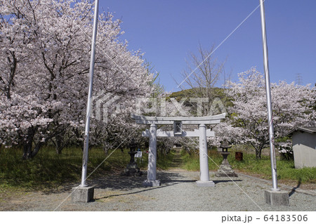 大牟田白山神社 64183506