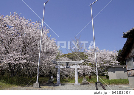 大牟田白山神社 64183507