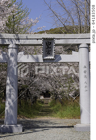大牟田白山神社 64183508