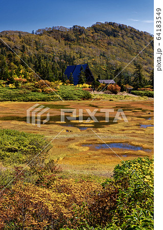 秋の妙高連山・高谷池の湿原 秋の妙高連山・高谷池の湿原 64183549