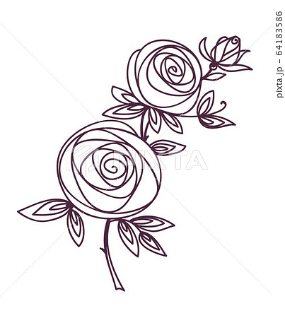 Roses. Stylized flower bouquet hand drawing. 64183586