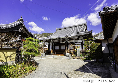 城下町龍野　法雲寺　本堂　兵庫県たつの市 64183827