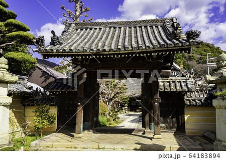 城下町龍野　如来寺　山門　兵庫県たつの市 64183894
