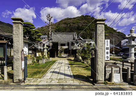 城下町龍野 如来寺 山門 兵庫県たつの市 城下町龍野 如来寺 山門 兵庫県たつの市 64183895