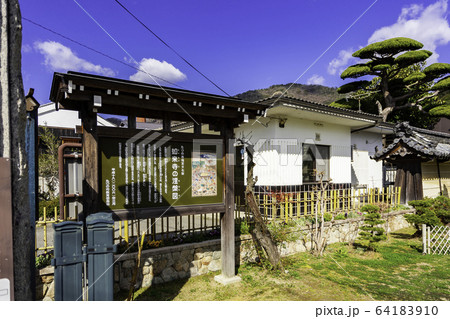 城下町龍野 如来寺 境内 兵庫県たつの市 城下町龍野 如来寺 境内 兵庫県たつの市 64183910