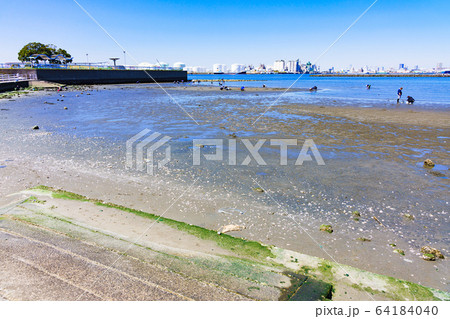 潮干狩り　春　風景　千葉港　千葉市　日本　青空　行楽　休日　レジャー　アウトドア　ビーチ　砂浜　海岸 64184040