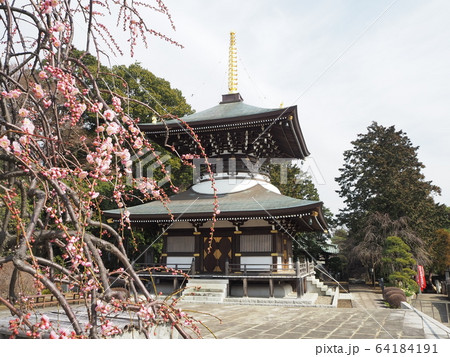 三宝寺 三宝寺 64184191