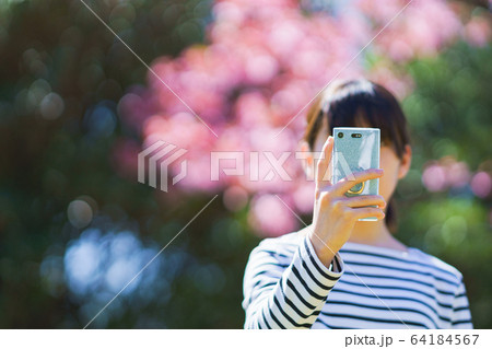 女子 女性 桜 サクラ 春 スマホ 撮る SNS シェア 共有 5G テクノロジー 人物 日本人 女子 女性 桜 サクラ 春 スマホ 撮る SNS シェア 共有 5G テクノロジー 人物 日本人 64184567