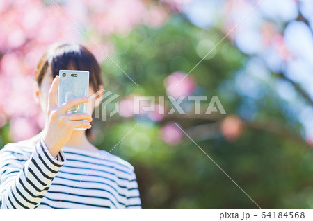 女子 女性 桜 サクラ 春 スマホ 撮る SNS シェア 共有 5G テクノロジー 人物 日本人 女子 女性 桜 サクラ 春 スマホ 撮る SNS シェア 共有 5G テクノロジー 人物 日本人 64184568