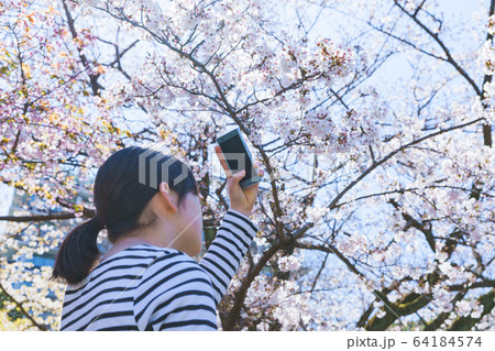 女子 女性 桜 サクラ 春 スマホ 撮る SNS シェア 共有 5G テクノロジー 人物 日本人 女子 女性 桜 サクラ 春 スマホ 撮る SNS シェア 共有 5G テクノロジー 人物 日本人 64184574