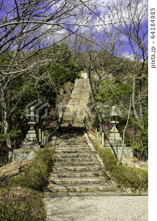 城下町龍野 野見宿禰神社 参道 兵庫県たつの市 城下町龍野 野見宿禰神社 参道 兵庫県たつの市 64184985
