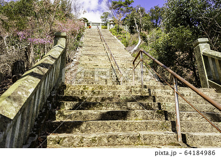 城下町龍野 野見宿禰神社 参道 兵庫県たつの市 城下町龍野 野見宿禰神社 参道 兵庫県たつの市 64184986