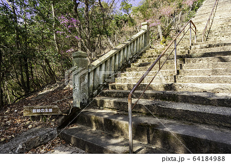 城下町龍野 野見宿禰神社 参道 兵庫県たつの市 城下町龍野 野見宿禰神社 参道 兵庫県たつの市 64184988
