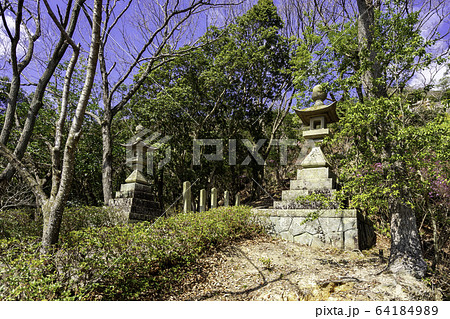 城下町龍野　野見宿禰神社　参道　兵庫県たつの市 64184989