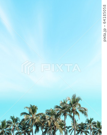Beautiful coconut palm trees with vintage sky. Beautiful coconut palm trees with vintage sky. 64185058