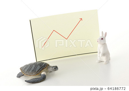 うさぎと亀 うさぎと亀 64186772