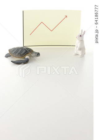 うさぎと亀 うさぎと亀 64186777