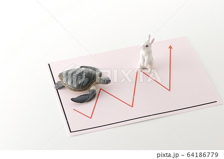 うさぎと亀 うさぎと亀 64186779