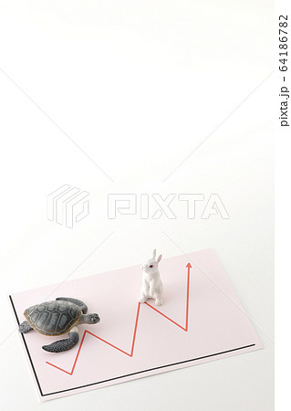 うさぎと亀 うさぎと亀 64186782