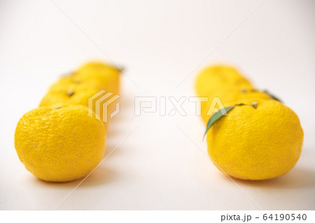 fresh fruit concept. close up of lemons and citrons 037 64190540