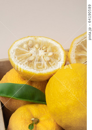 fresh fruit concept. close up of lemons and citrons 047 fresh fruit concept. close up of lemons and citrons 047 64190589