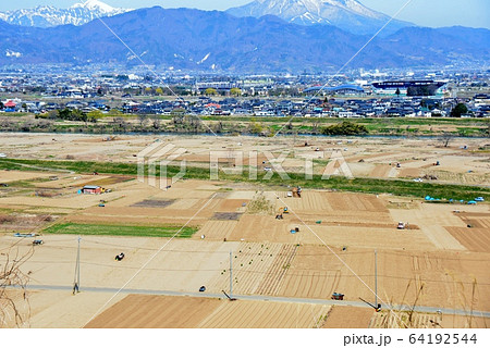 長いも畑の収穫作業 64192544