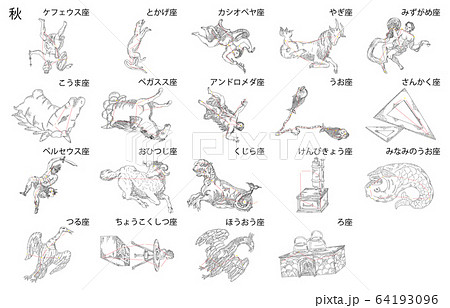 秋の星座影あり白名称 64193096