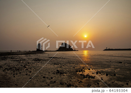 写真 コッチ海水浴場 コッチビーチ 64193304