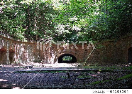 和歌山・友が島 64193564