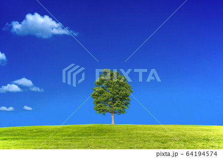雲のある青空を背景にした丘の上の1本の木。背景用素材 雲のある青空を背景にした丘の上の1本の木。背景用素材 64194574