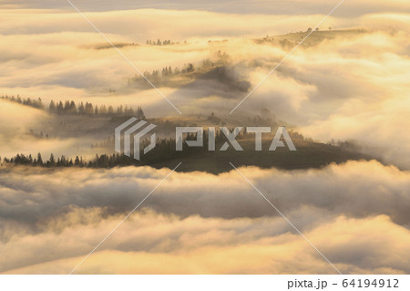Ukraine, Zakarpattia region, Carpathians, Borzhava, Foggy hills of Carpathian Mountains at sunrise 64194912