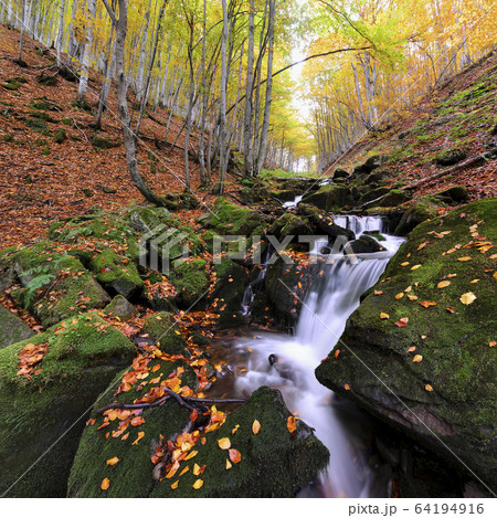 Ukraine, Zakarpattia region, Carpathians, Verkhniy Shypot waterfall, Blurred waterfall in autumn woods 64194916