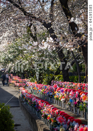 （東京都港区）増上寺　 千躰子育地蔵尊 64195385