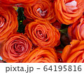 実 花 バラ 64195816